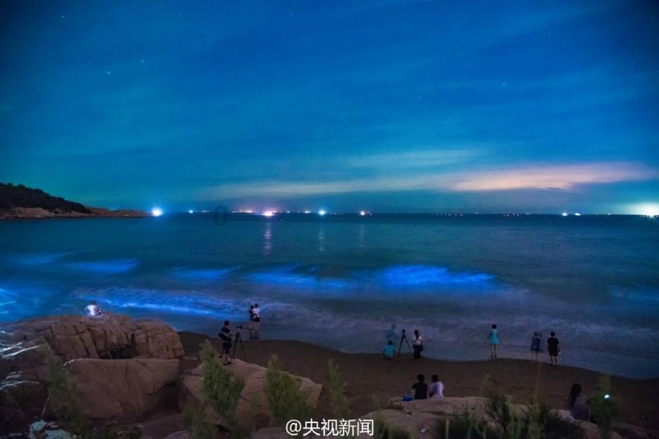 有人知道这是啥吗,家里一大堆,杀不完,没有味道,捏起来很脆?-专注于生活百问答交流